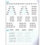 365 днів до НУШ Дитяча грамота Крок 3 Буквений період Авт: Удовенко Н. Вид: Літера, фото 5