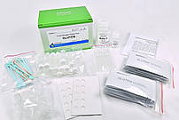Експрес-тест для визначення харчових алергенів Agitest™ Food Allergen Rapid Test Strip – GLUTEN (ГЛЮТЕН)
