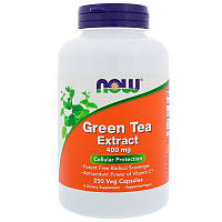Зеленый чай экстракт (Green Tea), Now Foods, 250 капсул