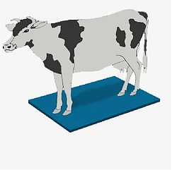 Ветковрики – дезінфекційні мати