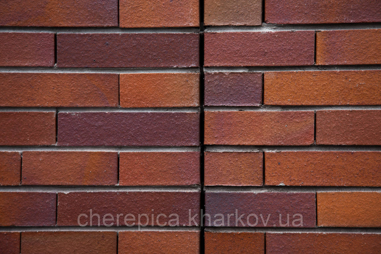 Клинкерный кирпич MUHR 04 Красно-коричневый пестрый - фото 2 - id-p1121927029