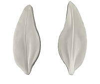 Вайнер Пелюстка лілії 5