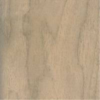 White Walnut Albus