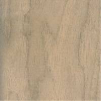 White Walnut Albus