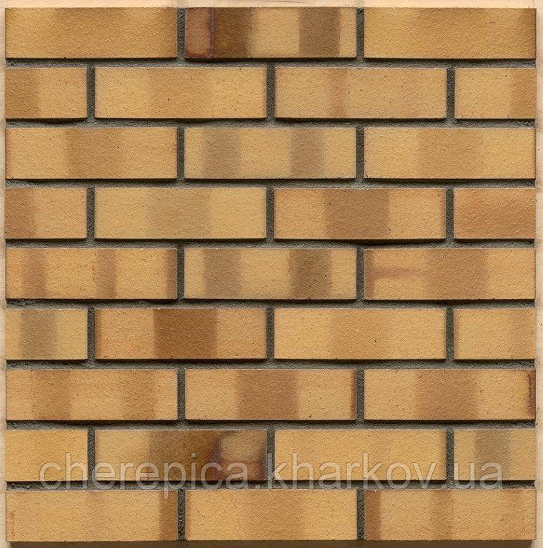 Клінкерна цегла MUHR 06 S Світло-коричневий строкатий спеціал, фото 1