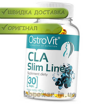 Жироспалювач OstroVit CLA Slim Line 30 капс, фото 2