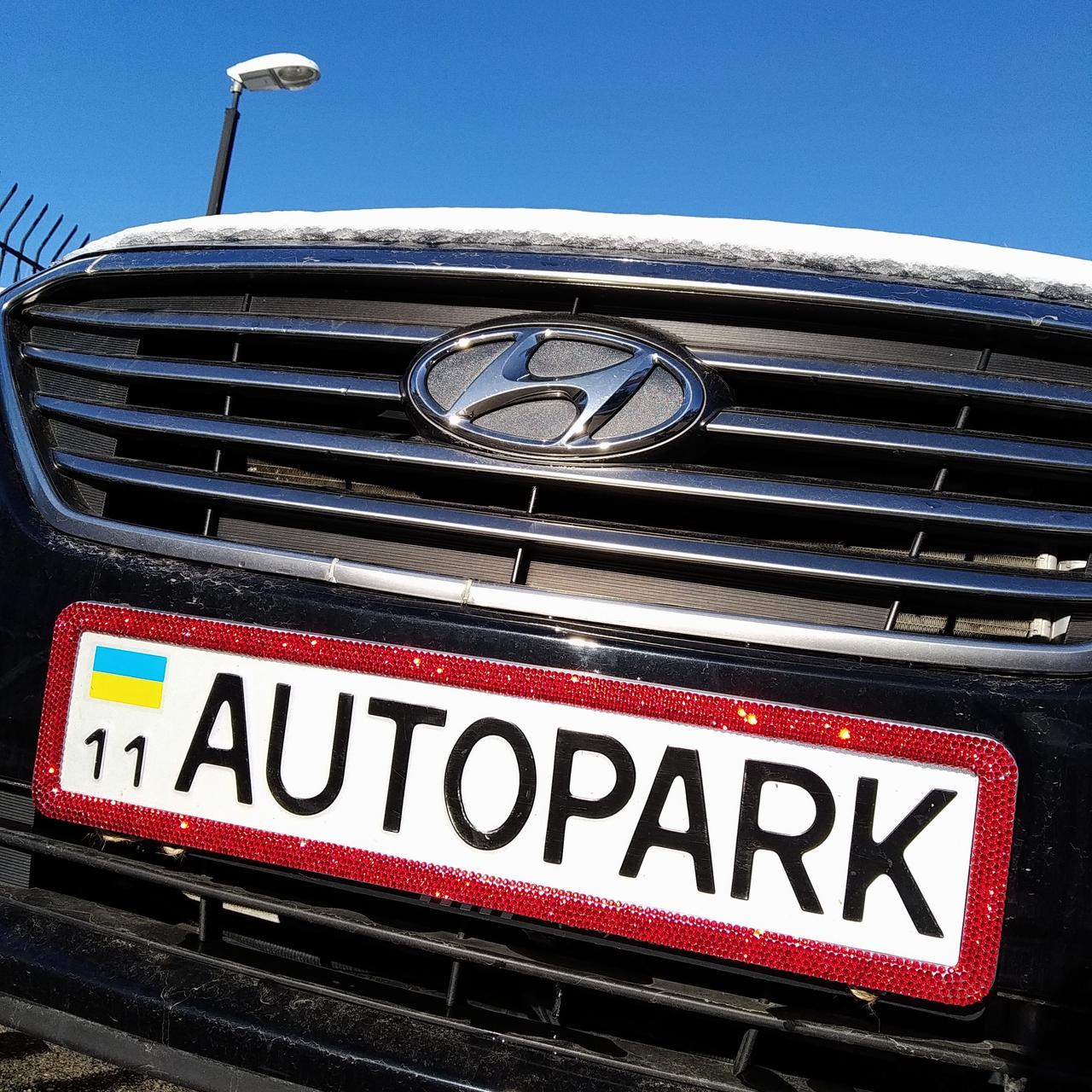 Подарунок автоледі - рамки для номерних знаків автомобіля з червоними стразами, фото 1