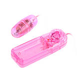 Вібратор Bullets & Eggs, фото 2