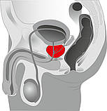 Масажер простати Prostata Twister, фото 7