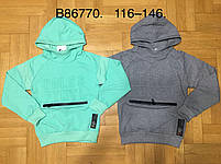 Толстовка для хлопчиків оптом, Grace, 116-146 см, № B86770, фото 6