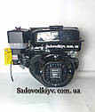 Двигун для культиватора Oleo-Mac MH 150,175,180/Emak До 800 OHV 182cc Made in Italy, фото 6