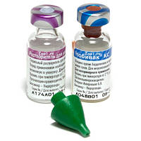 Вакцина Нобивак KC (Nobivac КС) против вольерного кашля, бордетеллеза и парагриппа собак - 1 флакон/доза