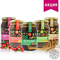 ПРИ КУПІВЛІ ВІД 3 БАНОК ПОЛИСОЛА - ЗНИЖКА 10%