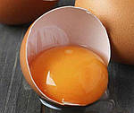 Цвет желтка в яйце