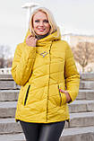 Жіноча демісезонна куртка Аврора, р-ри 50-62, фото 9