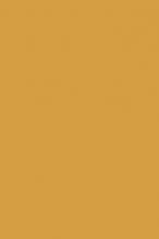 Фарба олійна SINCE 601 Raw Sienna 50ml MASTERS