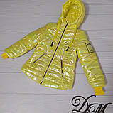 Куртка для дівчинки «Луїза», фото 2