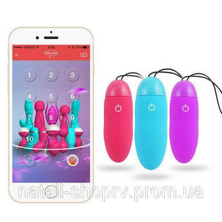 Радіокеровані вібратори