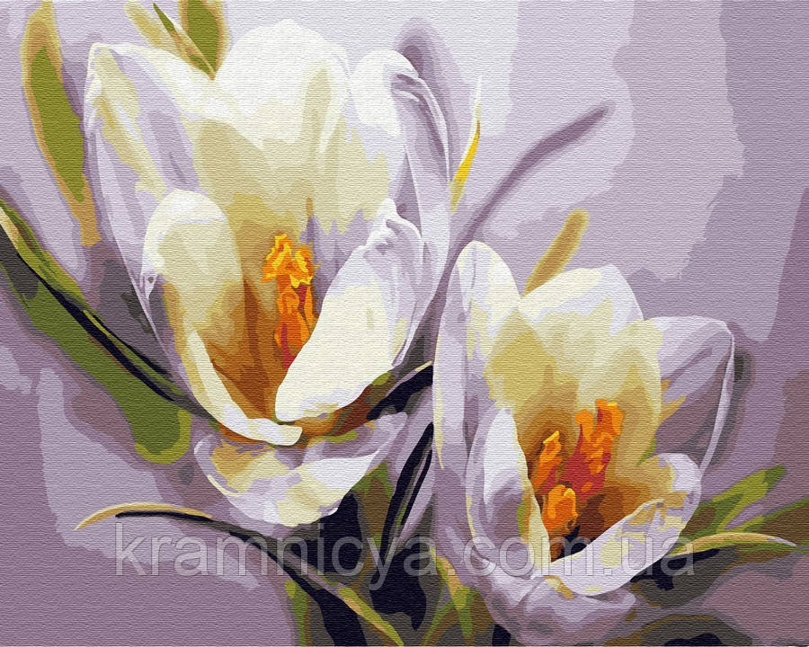 Картина за номерами Brushme Крокуси, 40х50 (GX5828)