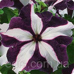 Петунія ампельна Лавина Синя зірка F1, 10 насінин-драже в колбі, серія PREMIUM ТМ Яскрава