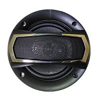 Колонки автоакустика MHZ TS-1395 260W (SH006176)