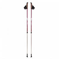 Трекінгові палиці для скандинавської ходьби телескопічні Tramp Fitness TRR-011 (SH002248)