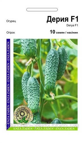 Насіння огірок Дерія F1 10шт. Enza Zaden Нідерланди