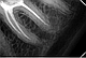 Стоматологічний портативний рентген апарат DIO-XX 602 Корея рентгенівський дентальний переносний мобільний, фото 8