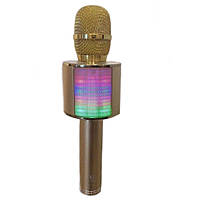Караоке-мікрофон портативний з підсвічуванням DM YS-66 5548, золотий S, фото 2