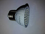 Фітолампа для рослин 220v, 2.5w, e26 💡🌱, фото 3