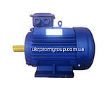 Електродвигун АІР 355L6 250 кВт 1000 об./хв, фото 7
