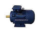 Електродвигун АІР 355MLC6 315 кВт 1000 об./хв, фото 8