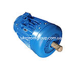 Електродвигун АІР 280S6 75 кВт 1000 об./хв, фото 2