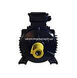 Електродвигун АІР 180M6 18.5 кВт 1000 об./хв, фото 9