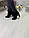 36 р. Ботильоны женские деми черные замшевые на высоком каблуке, демисезонные, из натуральной замши, замша, фото 5