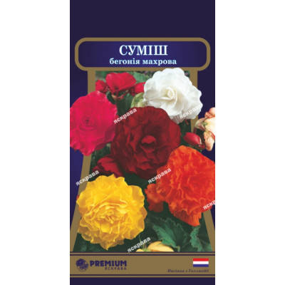 

Бегония махровая смесь 10 драже