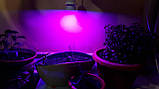 Фітолампа для рослин 220v, 2.5w, e26 💡🌱, фото 7