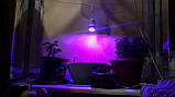 Фітолампа для рослин 220v, 2.5w, e26 💡🌱, фото 6