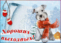 Щасливих зимових вихідних!