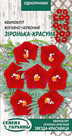 Насіння Квамокліт вогненно-червоний Зірка-червониця 0.5 г