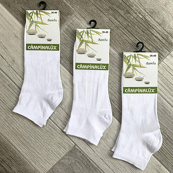 Шкарпетки жіночі демісезонні бамбук Campinalux, Туреччина, короткі, білі, 03792