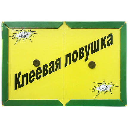 "Крысонет", ефективна клейова пастка для гризунів (щурів, мишей). Розмір - 31,5*21 см, фото 3