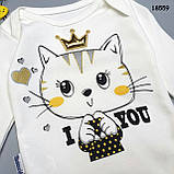 Набір "Котик" для дівчинки. 74 см, фото 3