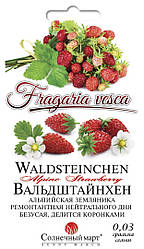 Насіння Земляніка ремонтантне Вальдштайнхен 0,03 грама насіння Сонячний Март