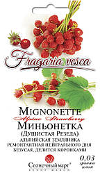 Насіння Земляніка ремонтантна Міньйонетка 0,03 грама насіння Сонячний Бертен