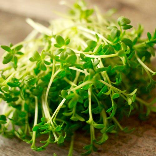 Мікрозелень Крес-салат мікс 10г