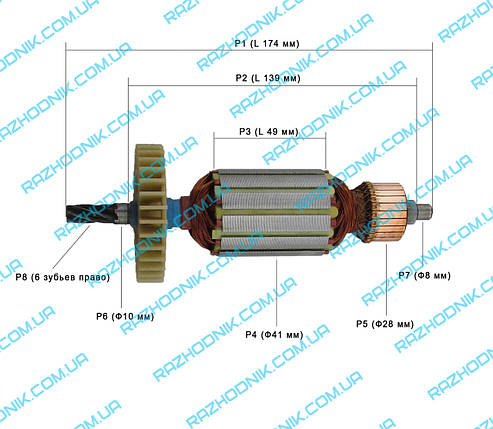Якорь на дисковую пилу EINHELL PRO WORK PHS 1200/1, фото 2