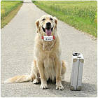 GPS нашийник для мисливських собак TKSTAR TK909, фото 2