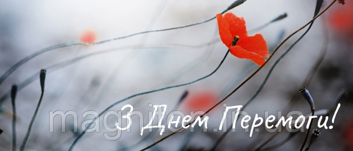 Магніт на холодильник 15. З днем перемоги