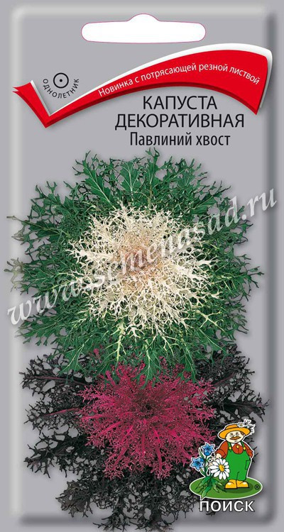 Насіння капусти декоративне Павличне хвост 7 шт.